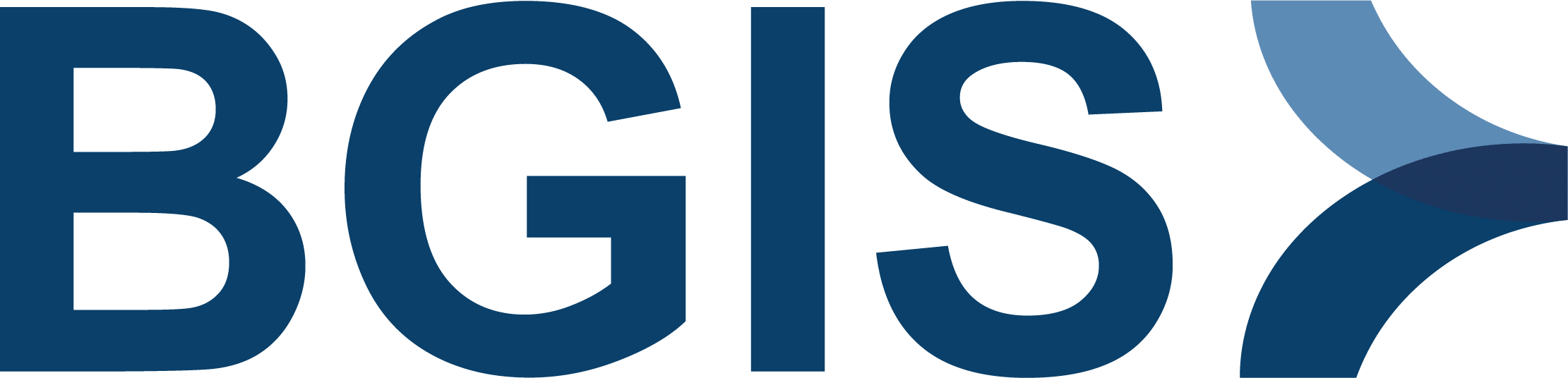 BGIS logo